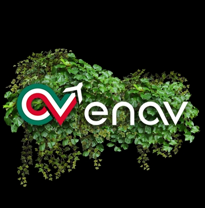 ENAV logo on ivy